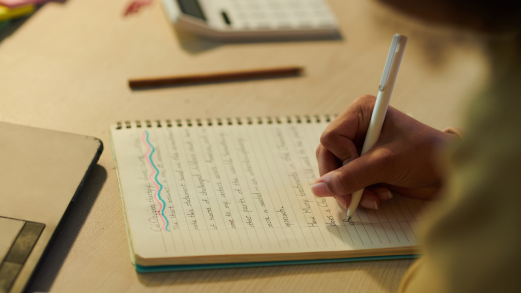 Essay Introduction Examples